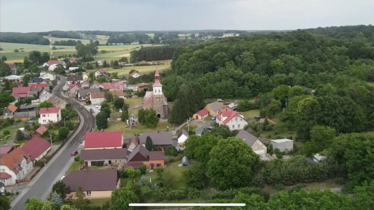 Dzień Kundelka w Jemielnie – świętujmy razem z naszymi czworonogami!